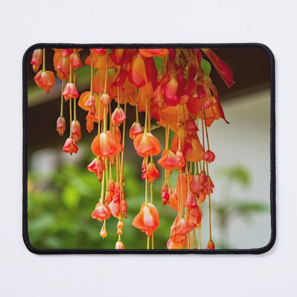 Item preview, Hanging Cluster of Red Blooms designed and sold by FireScreen.