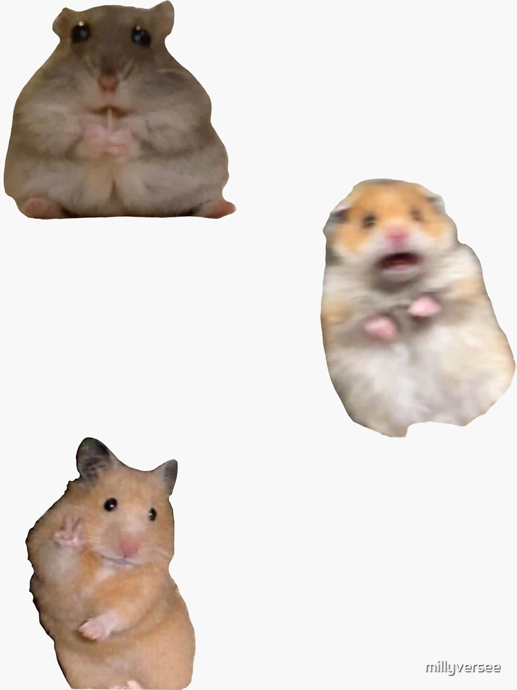 hamster meme Sticker for Sale by dtscott19