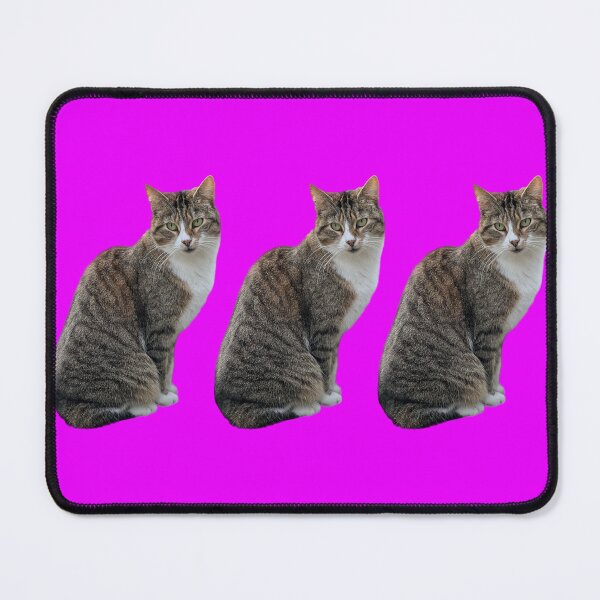 Item preview, tabby cat 3 times side by side with background in pink-purple designed and sold by Binas-gallery.