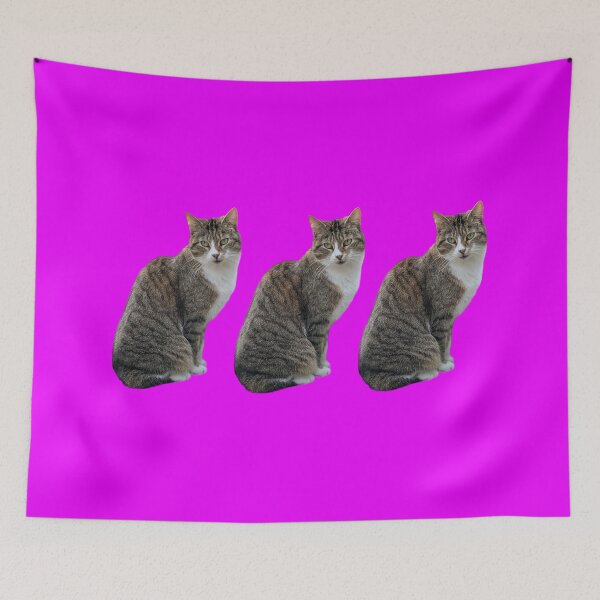 Item preview, tabby cat 3 times side by side with background in pink-purple designed and sold by Binas-gallery.