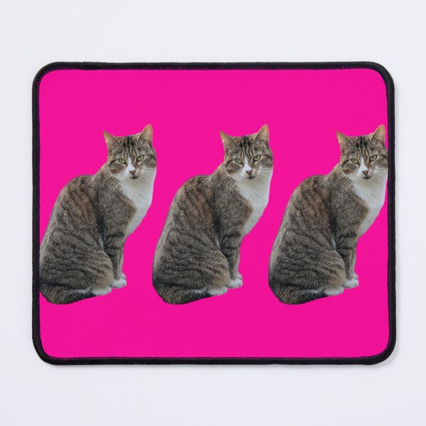 Item preview, tabby 3 times side by side with background in pink designed and sold by Binas-gallery.