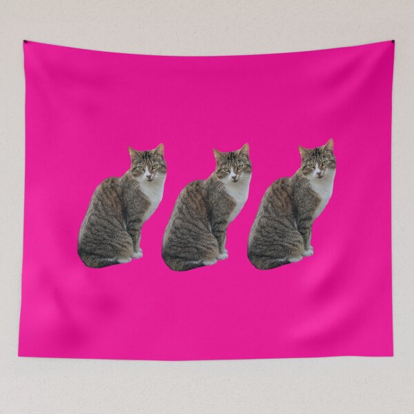 Item preview, tabby 3 times side by side with background in pink designed and sold by Binas-gallery.