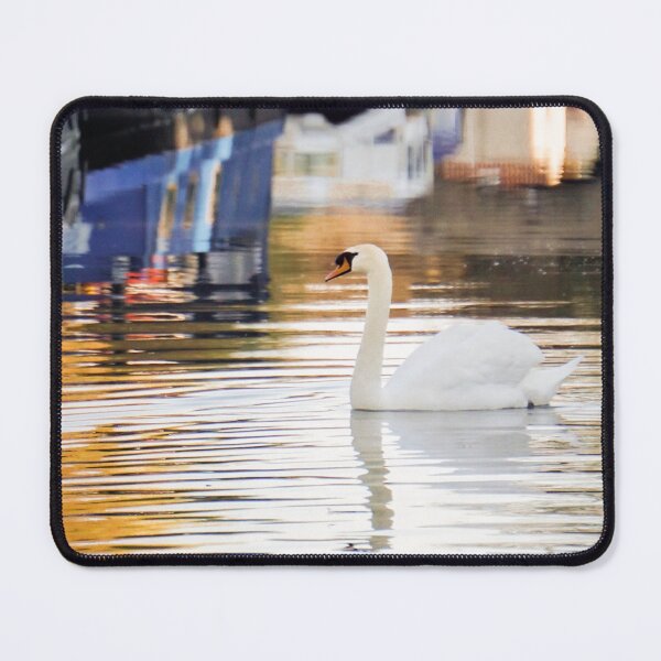 Item preview, Swan on Kennet & Avon Canal designed and sold by Rowena Ko.