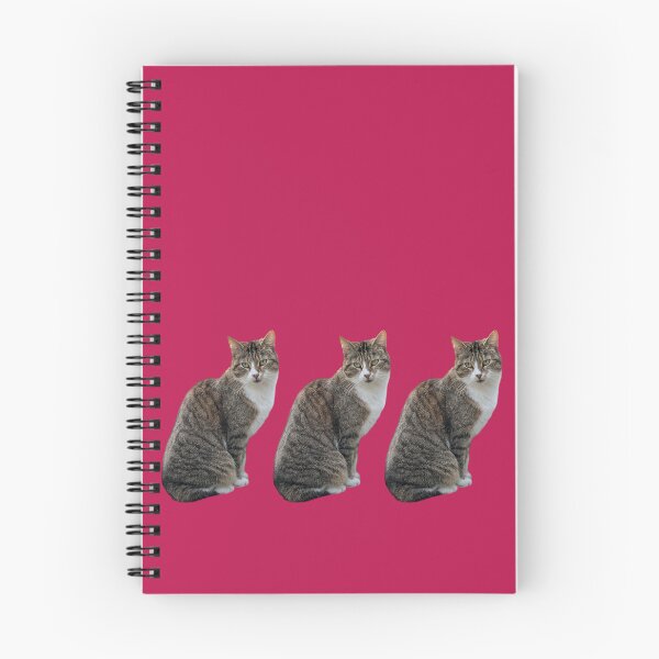 Item preview, tabby cat 3 times side by side with background in pink-red designed and sold by Binas-gallery.