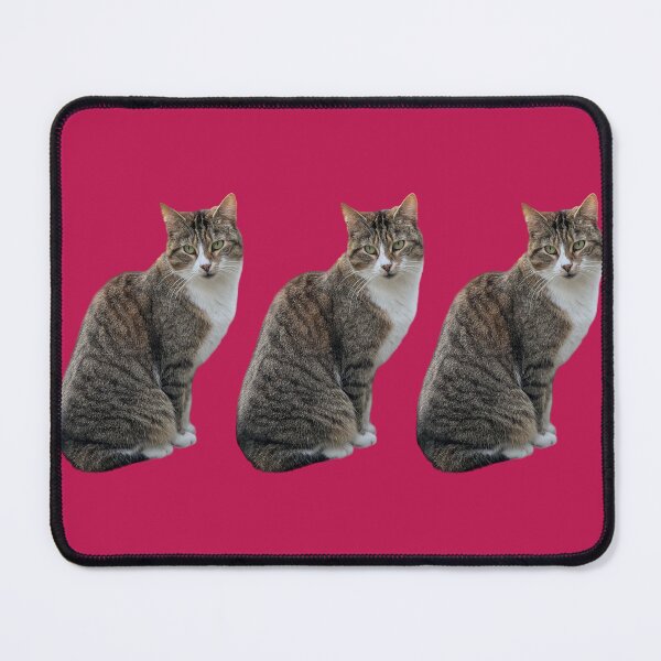 Item preview, tabby cat 3 times side by side with background in pink-red designed and sold by Binas-gallery.