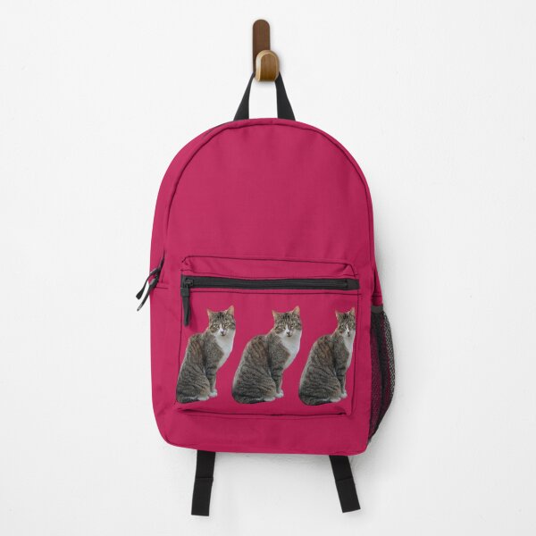 Item preview, tabby cat 3 times side by side with background in pink-red designed and sold by Binas-gallery.