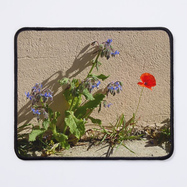 Item preview, Street flowers. designed and sold by Paul Pasco.
