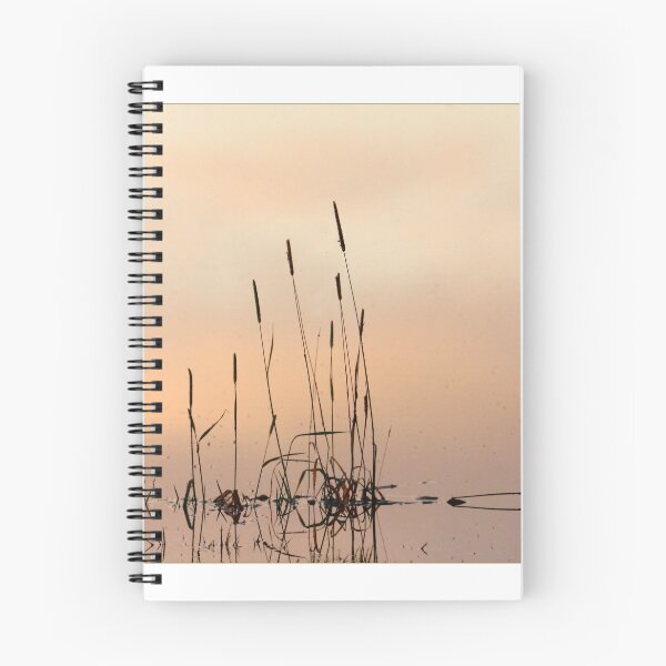 Item preview, Rushes at sunset designed and sold by SWEEPER.