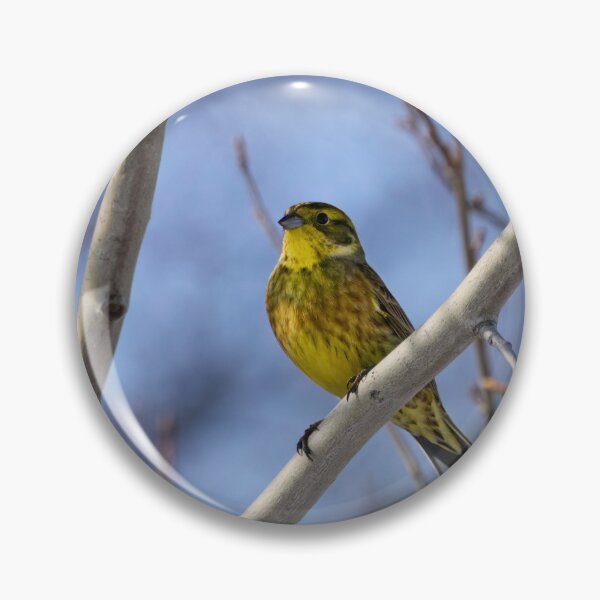 Item preview, Yellow and blue. Yellowhammer designed and sold by Jouko Lehto Photography.