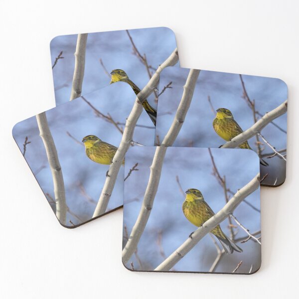 Item preview, Yellow and blue. Yellowhammer designed and sold by Jouko Lehto Photography.