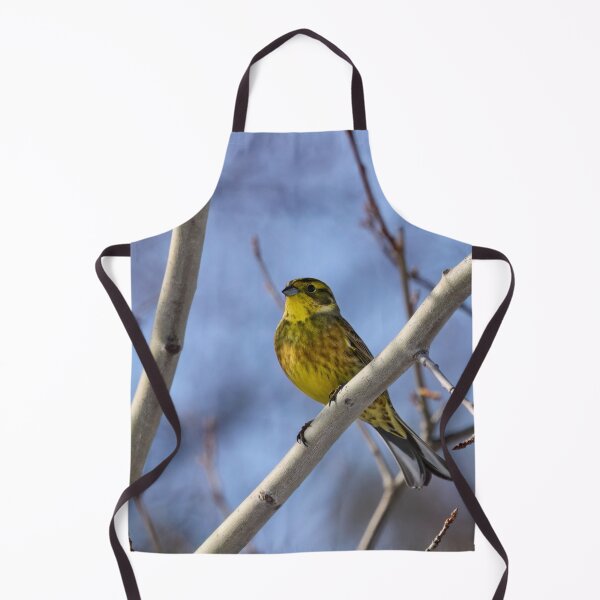 Item preview, Yellow and blue. Yellowhammer designed and sold by Jouko Lehto Photography.