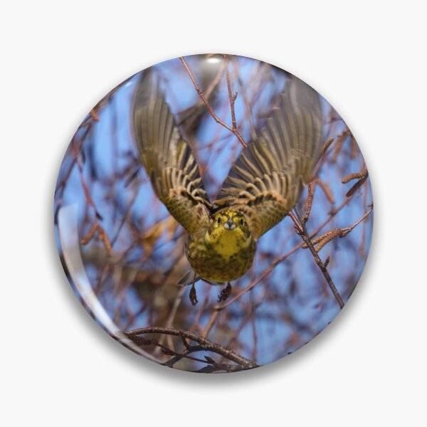 Item preview, Take off. Yellowhammer designed and sold by Jouko Lehto Photography.