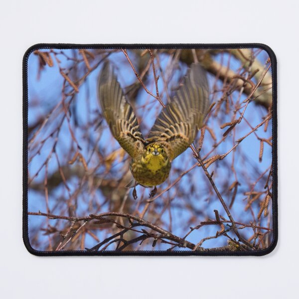 Item preview, Take off. Yellowhammer designed and sold by Jouko Lehto Photography.