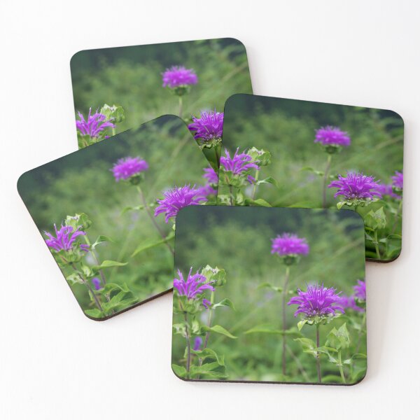 Item preview, Wild Bergamot designed and sold by Lostlogo.