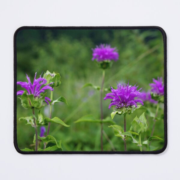 Item preview, Wild Bergamot designed and sold by Lostlogo.