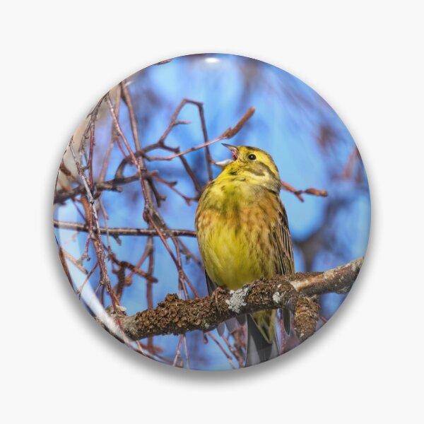Item preview, Songs for the springtime. Yellowhammer designed and sold by Jouko Lehto Photography.