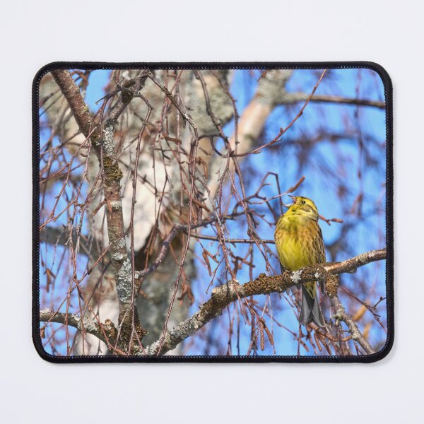 Item preview, Songs for the springtime. Yellowhammer designed and sold by Jouko Lehto Photography.