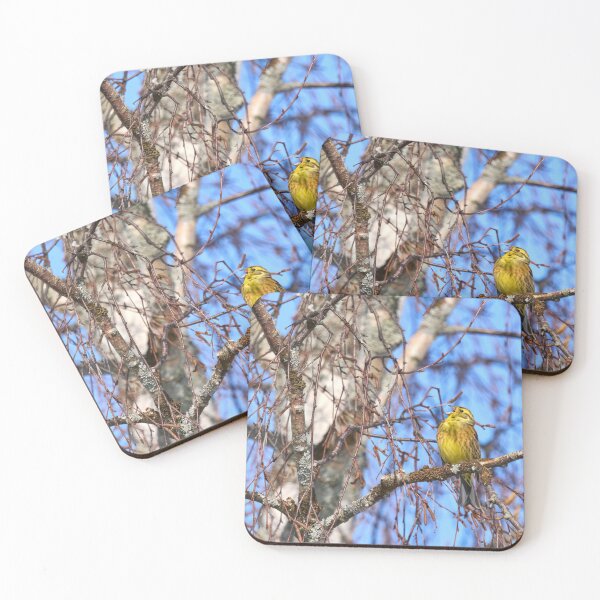 Item preview, Songs for the springtime. Yellowhammer designed and sold by Jouko Lehto Photography.