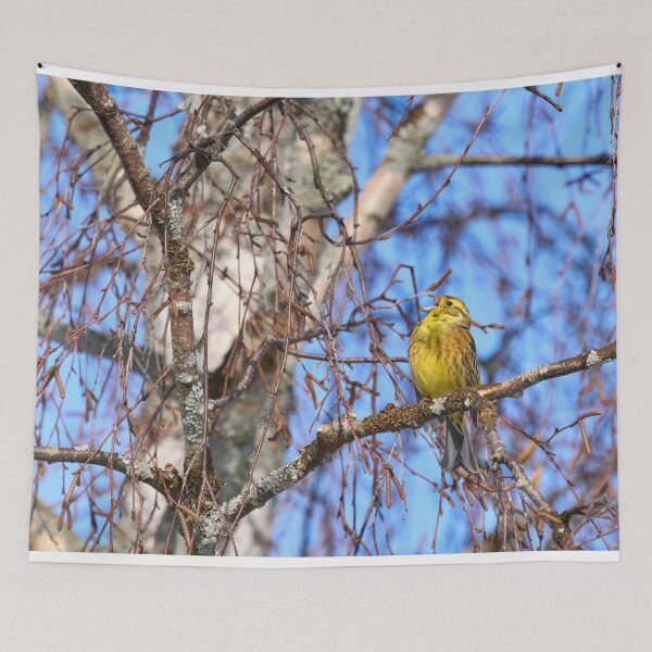 Item preview, Songs for the springtime. Yellowhammer designed and sold by Jouko Lehto Photography.