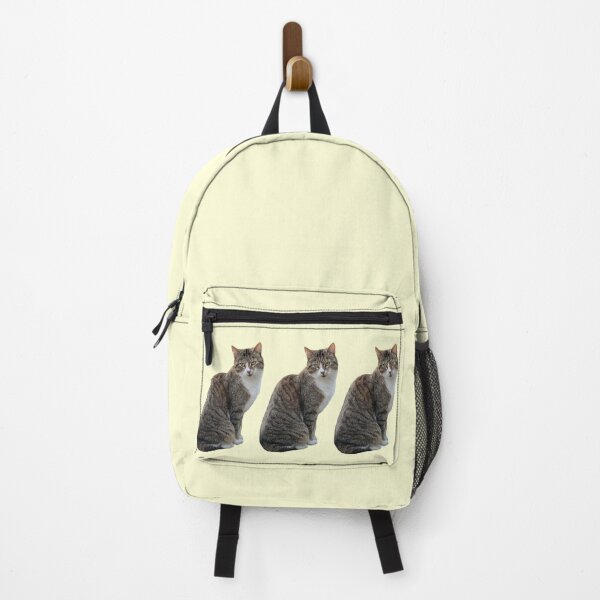 Item preview, Tabby 3 times side by side with background in pastel yellow designed and sold by Binas-gallery.