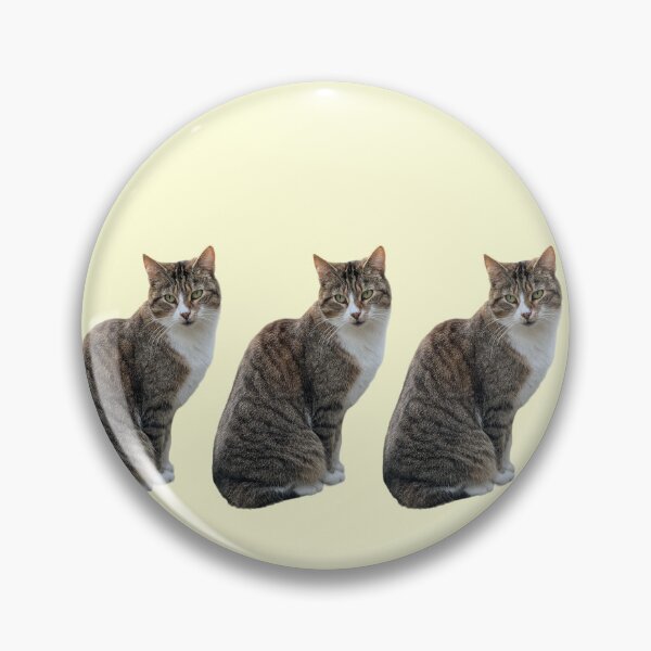 Item preview, Tabby 3 times side by side with background in pastel yellow designed and sold by Binas-gallery.