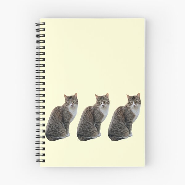 Item preview, Tabby 3 times side by side with background in pastel yellow designed and sold by Binas-gallery.