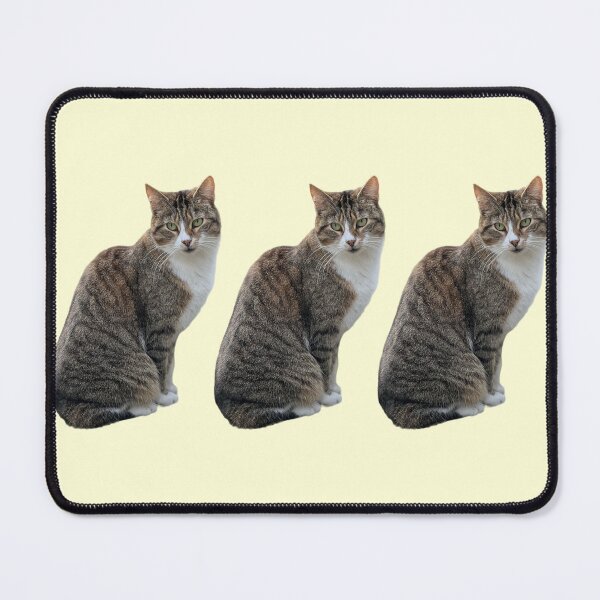 Item preview, Tabby 3 times side by side with background in pastel yellow designed and sold by Binas-gallery.