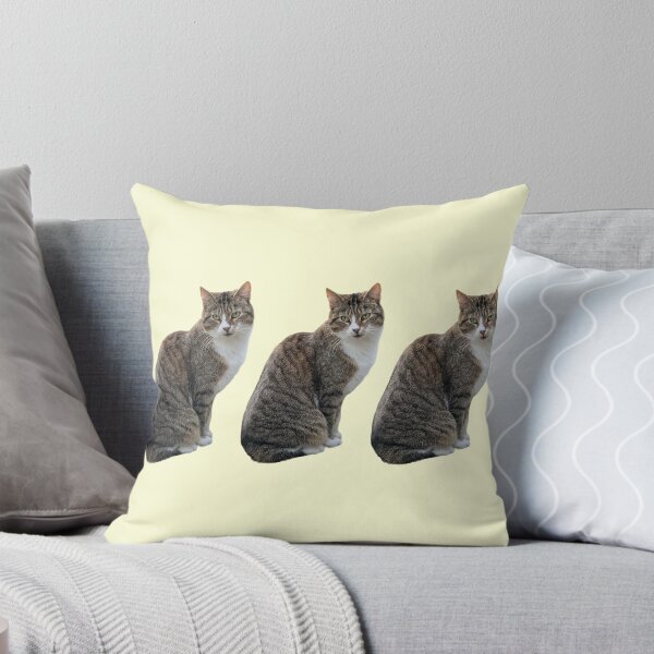 Item preview, Tabby 3 times side by side with background in pastel yellow designed and sold by Binas-gallery.