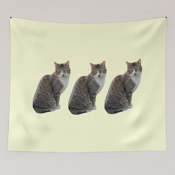 Item preview, Tabby 3 times side by side with background in pastel yellow designed and sold by Binas-gallery.