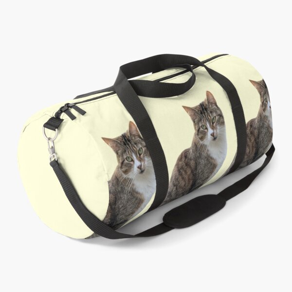 Item preview, Tabby 3 times side by side with background in pastel yellow designed and sold by Binas-gallery.