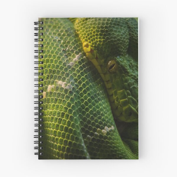 Item preview, Kaa designed and sold by Adam Northam (Home & Away Photography).