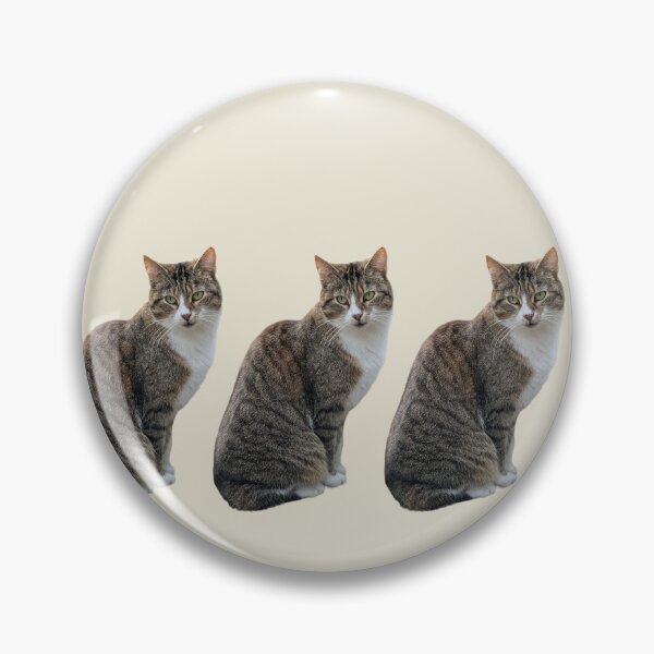 Item preview, Tabby cat 3 side by side with light beige background designed and sold by Binas-gallery.