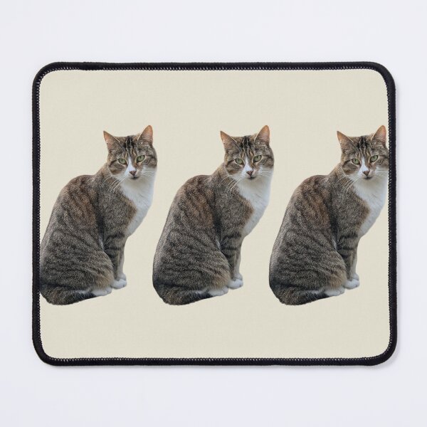 Item preview, Tabby cat 3 side by side with light beige background designed and sold by Binas-gallery.