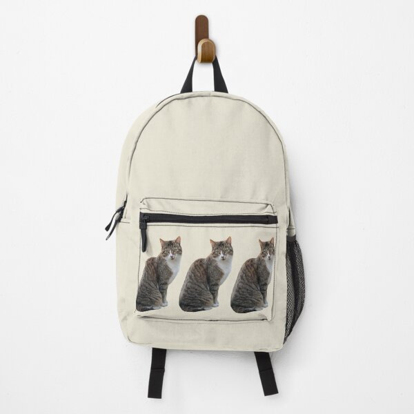 Item preview, Tabby cat 3 side by side with light beige background designed and sold by Binas-gallery.