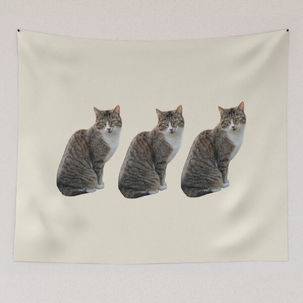 Item preview, Tabby cat 3 side by side with light beige background designed and sold by Binas-gallery.