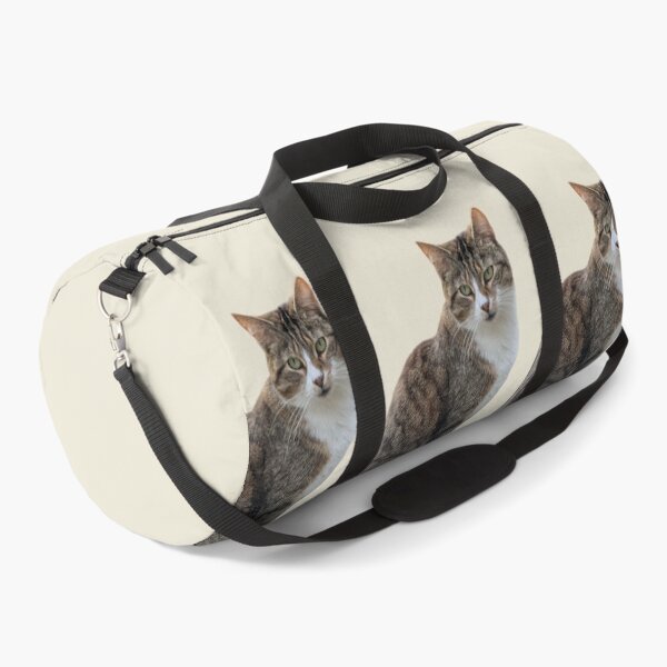 Item preview, Tabby cat 3 side by side with light beige background designed and sold by Binas-gallery.