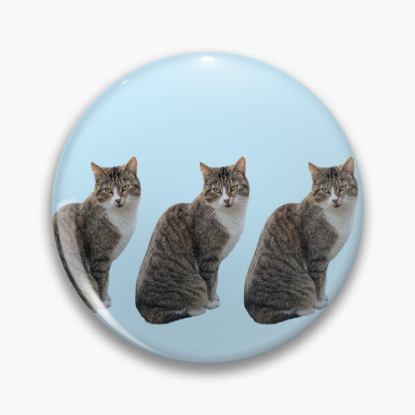 Item preview, Tabby 3 times side by side with background in pastel blue designed and sold by Binas-gallery.