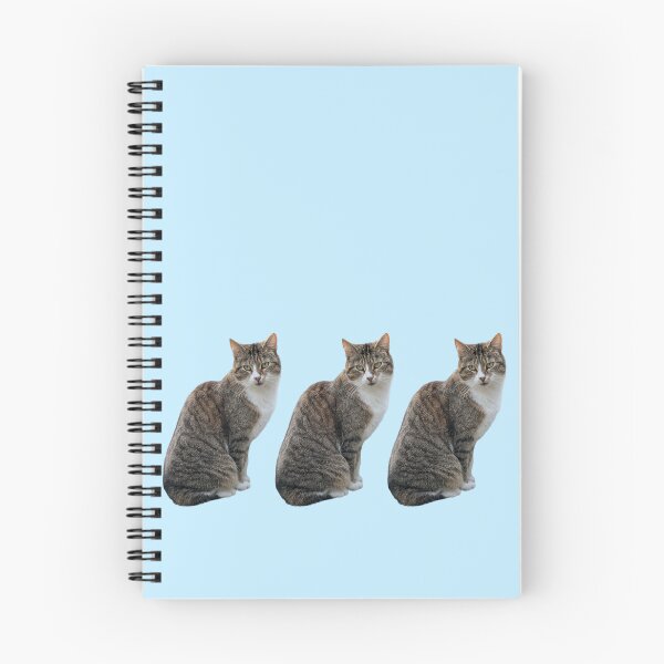 Item preview, Tabby 3 times side by side with background in pastel blue designed and sold by Binas-gallery.