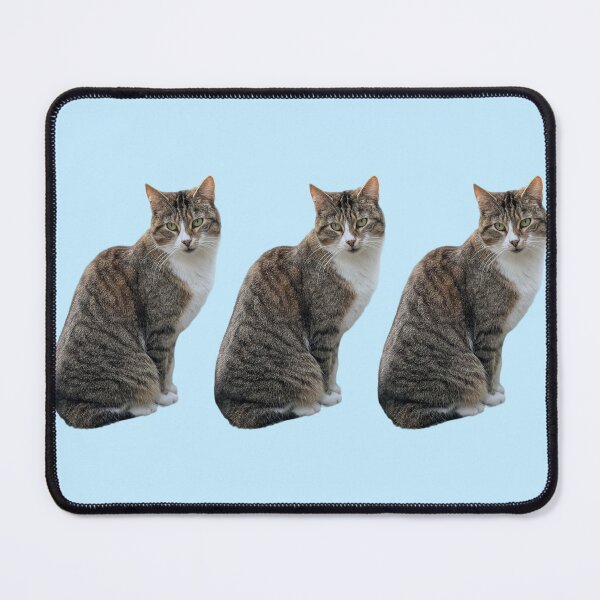 Item preview, Tabby 3 times side by side with background in pastel blue designed and sold by Binas-gallery.