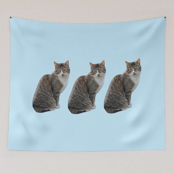 Item preview, Tabby 3 times side by side with background in pastel blue designed and sold by Binas-gallery.