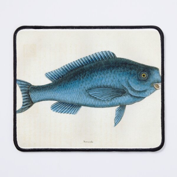 Item preview, Catesby's Blue Fish designed and sold by Lloyd Library & Museum.