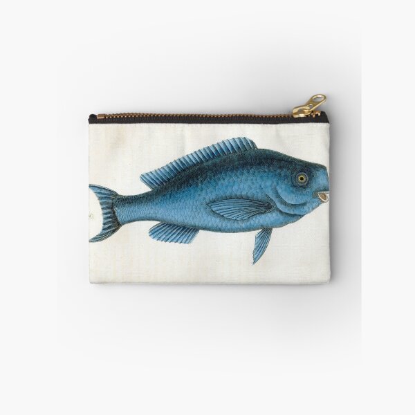 Item preview, Catesby's Blue Fish designed and sold by Lloyd Library & Museum.