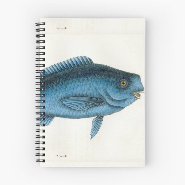 Item preview, Catesby's Blue Fish designed and sold by Lloyd Library & Museum.