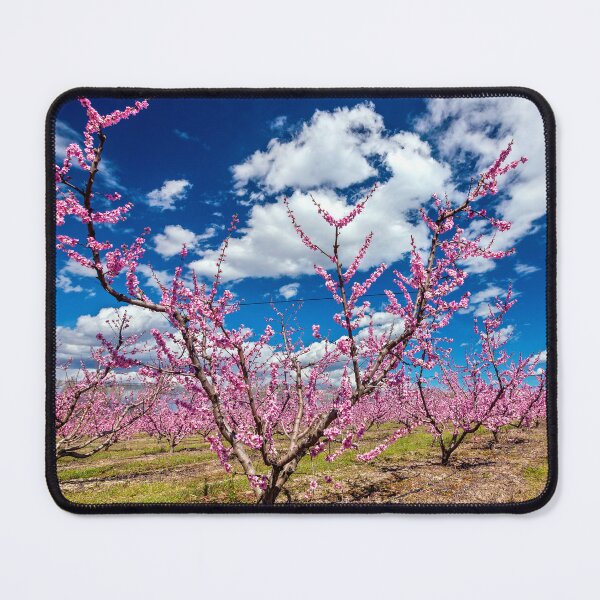Item preview, Springtime in Macedonia designed and sold by Hercules Milas.