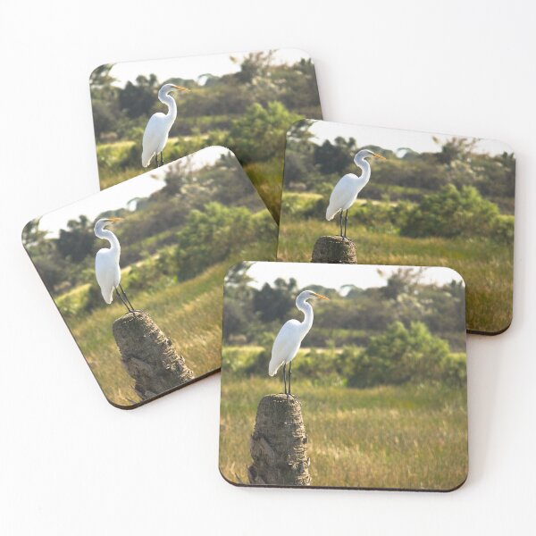 Item preview, Great Egret at Viera Wetlands designed and sold by ValeriesGallery.