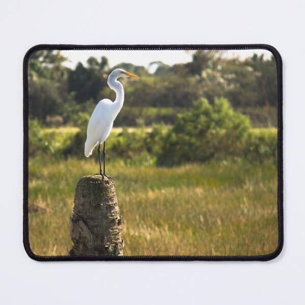 Item preview, Great Egret at Viera Wetlands designed and sold by ValeriesGallery.