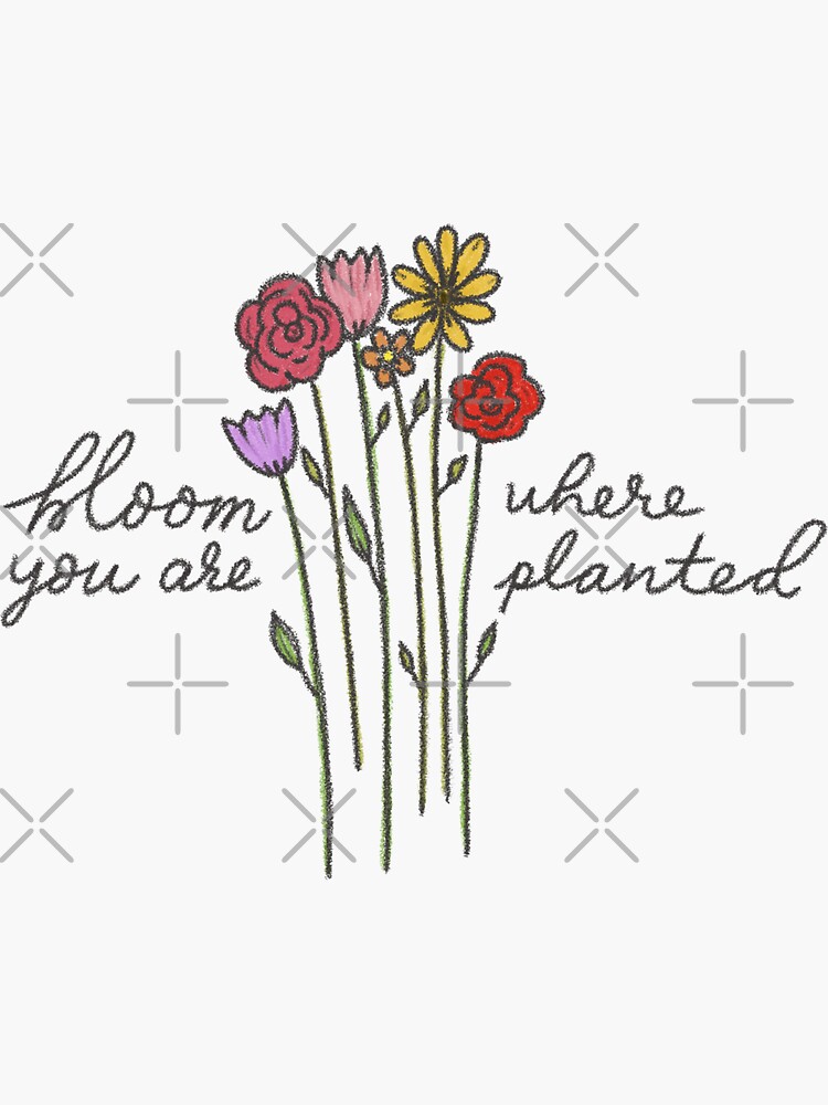 Bloom Where You Are Planted Floral Sticker