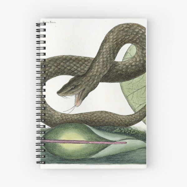Item preview, Catesby's Brown Viper designed and sold by Lloyd Library & Museum.