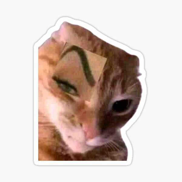 Seriously? 😼 Suspicous Felini Kitty Cat Emoji Sticker Raised Eyebrow