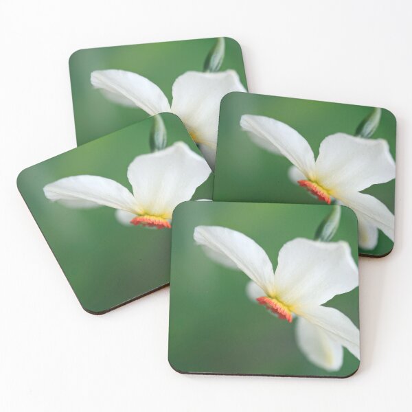 Item preview, White flower in spring garden designed and sold by olena2552.